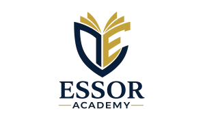 ENTORNO VIRTUAL DE APRENDIZAJE ESSOR